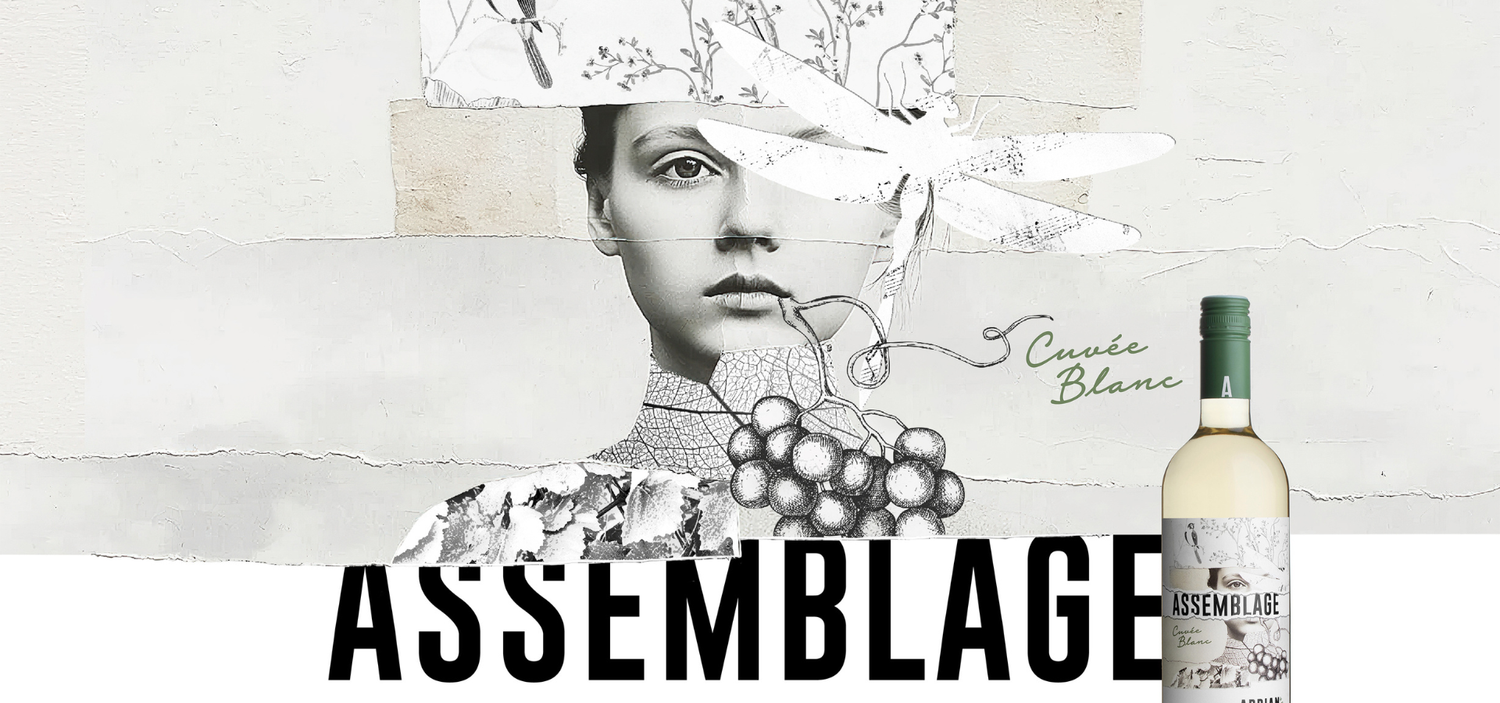 Assemblage Diashow Slider